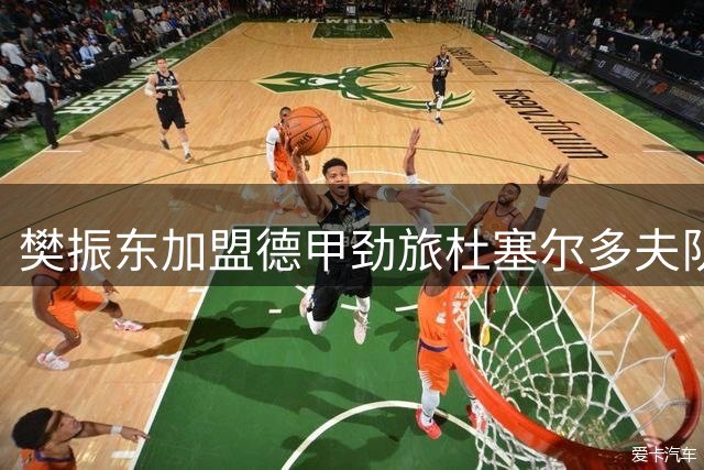 樊振东加盟德甲劲旅杜塞尔多夫队