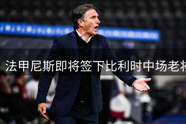 法甲尼斯即将签下比利时中场老将维特塞尔